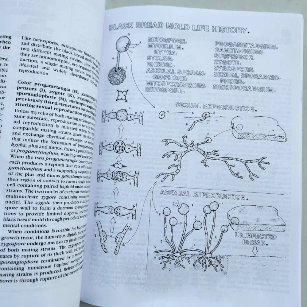 NEW Botany Coloring Book Adult High School Paperback High School Science Activit